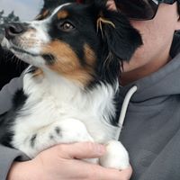 Jared White's profile image