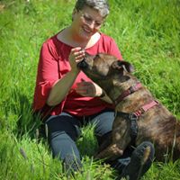 Karri Meleo's profile image