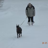 Terry Kathan's profile image