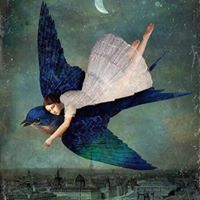 Trisha Burke's profile image