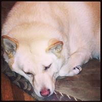 Val Erie's profile image