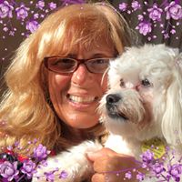 Peggy Papadatos's profile image