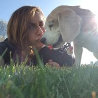 Paola Zuccaro's profile image
