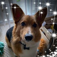 Sean Amos's profile image