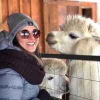Alexandra Simard Savard's profile image