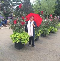 Zahide Sezerman's profile image