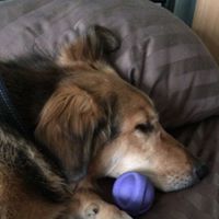 Dan Berube's profile image