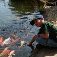 Sam Ybarbo's profile image