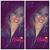 Paityn Lafferty's profile image