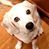 Deb Uden's profile image