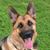 Laura Westcott's profile image