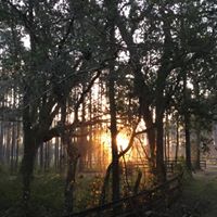 Wayne Colvin's profile image