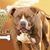 Kneka Dewindt's profile image