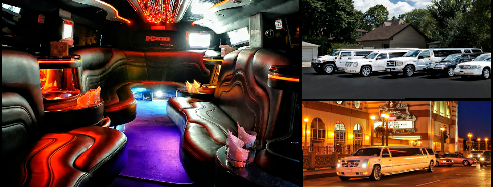 Naperville Limousine's cover image
