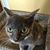 Robert Golembeski's profile image