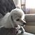 Judi Pudelek's profile image