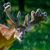 Doug Phillips's profile image