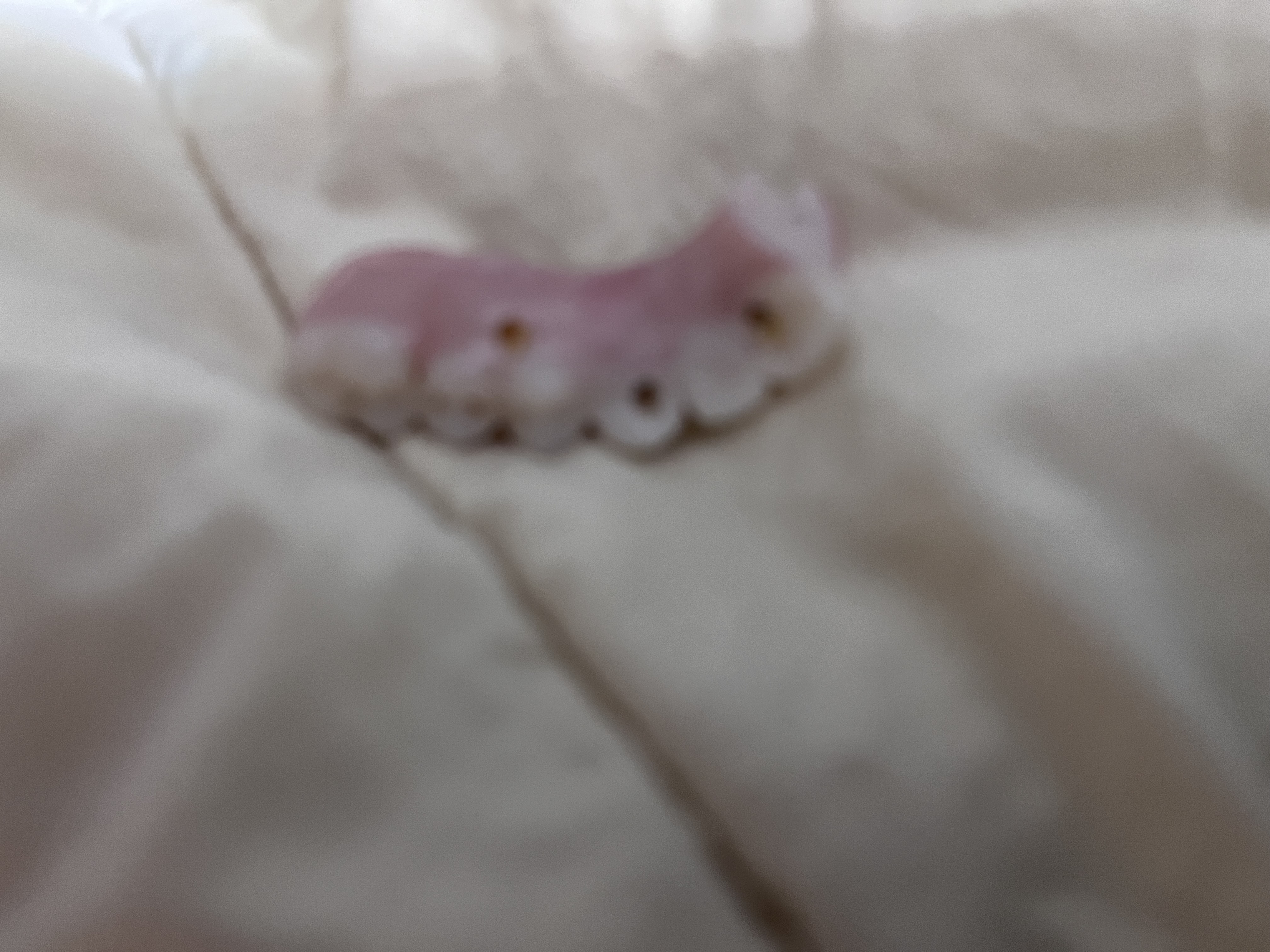 Jamie B.'s post 2