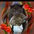 Deb Ward's profile image