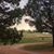 Brian Pachak's profile image