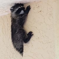 Stacey Christopher Zeman's profile image