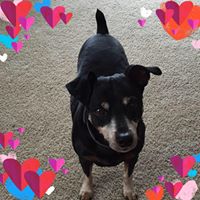 Michele Carpenter's profile image