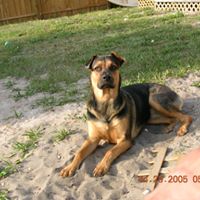 Gerard McAleney's profile image