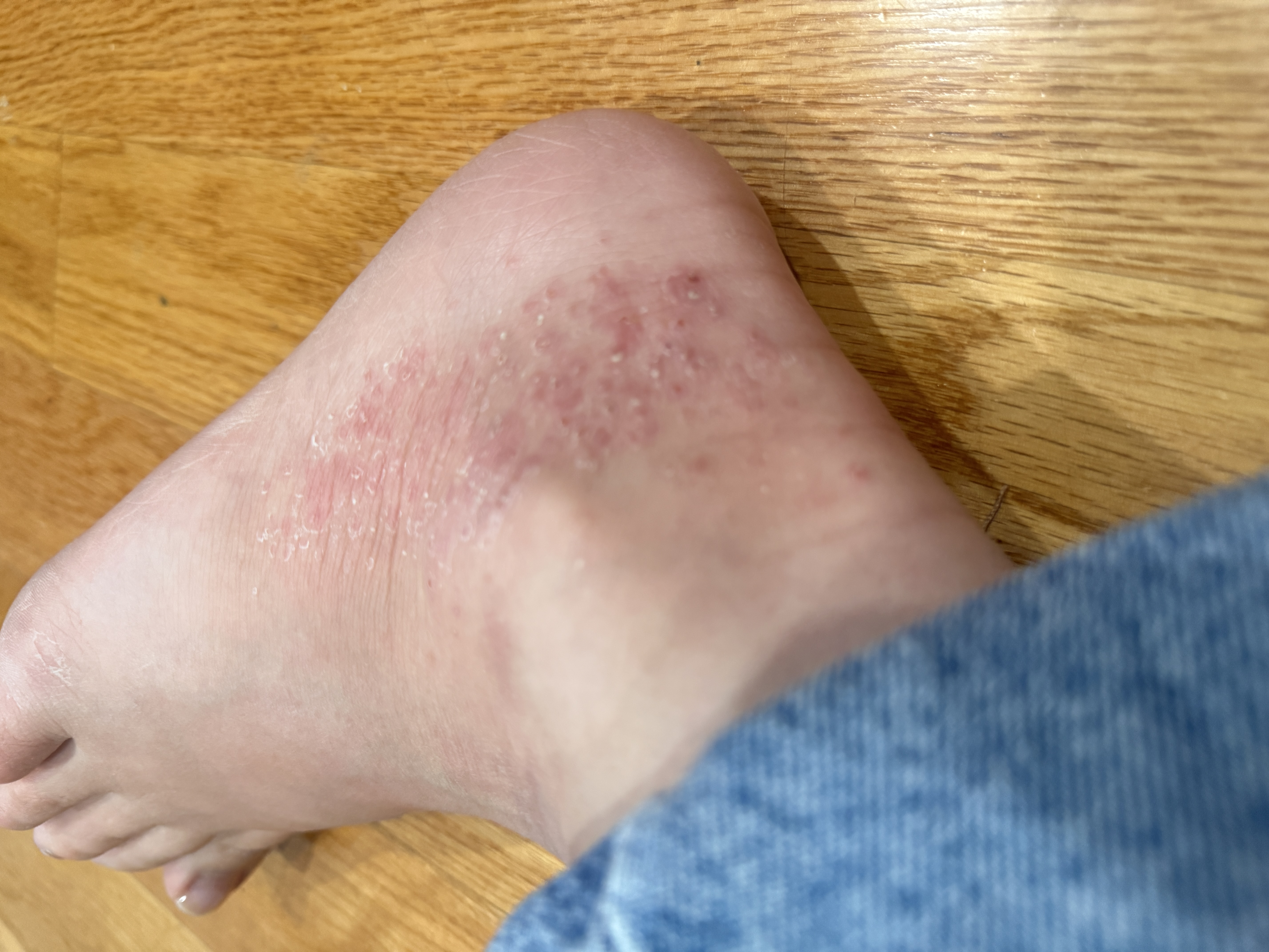 Charlotte S.'s post 1