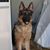 Renee Vavra Criss's profile image