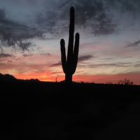 Chuck Spielvogel's profile image
