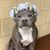 Joyce Gill's profile image