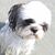 Heidi Landau's profile image