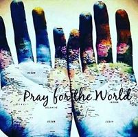 Staci Handelman's profile image