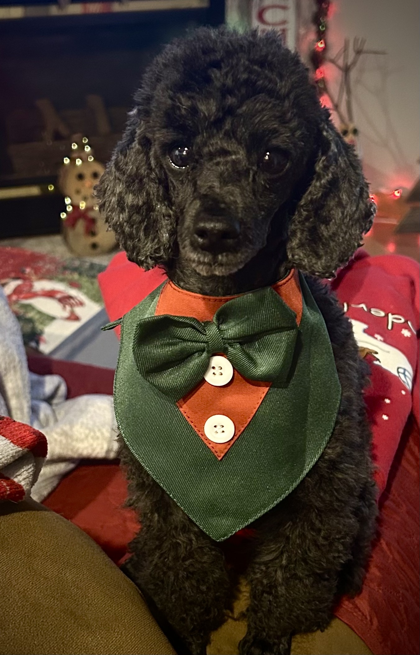 Judy W.'s post 1