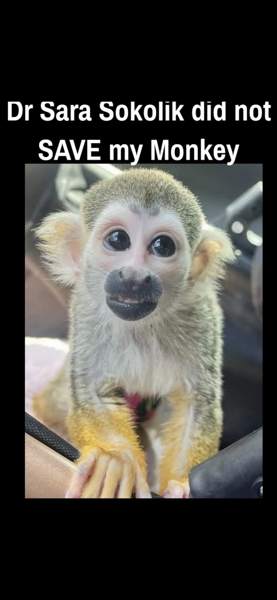 Samantha's post 1