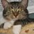 Anne Hesse's profile image