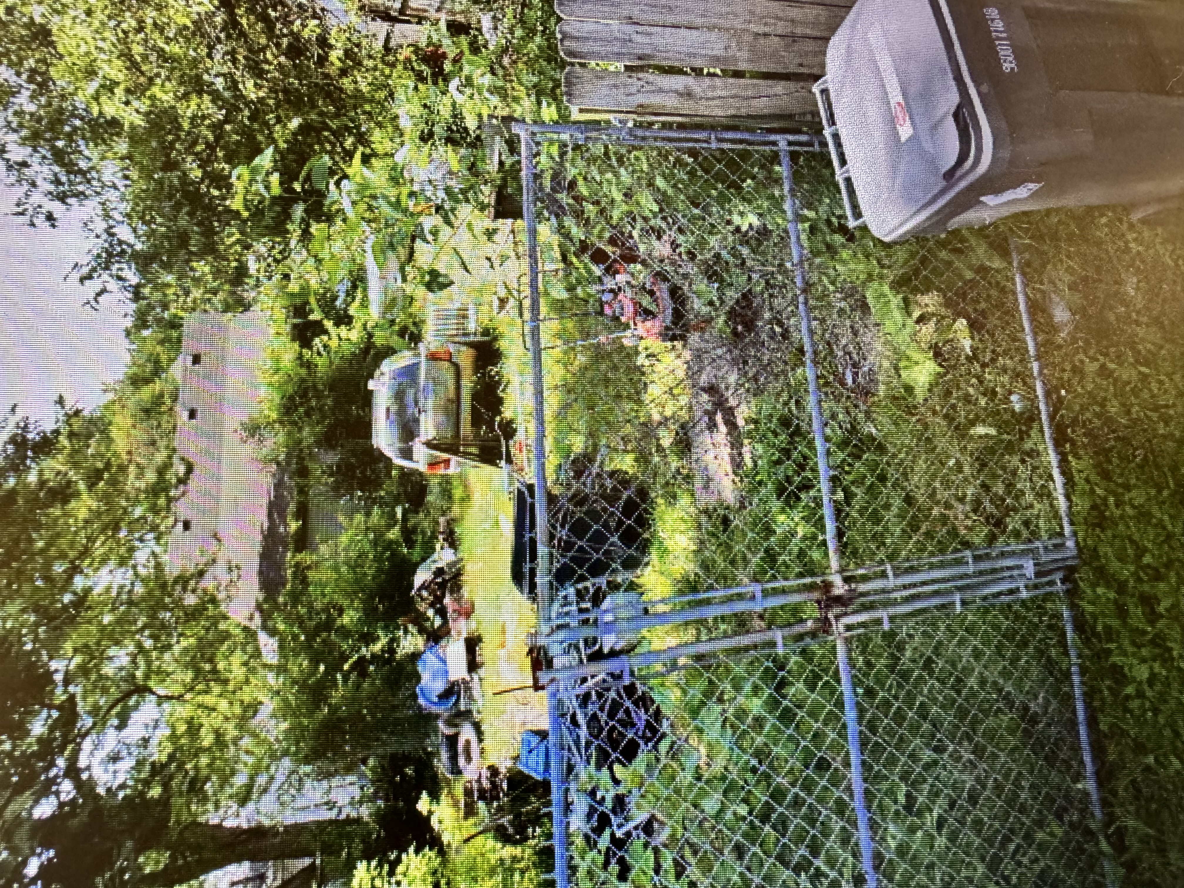 Carolyn S.'s post 4