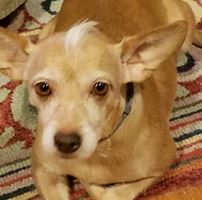 Marjorie Putney's profile image