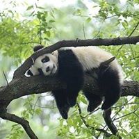 Jim Slattery's profile image