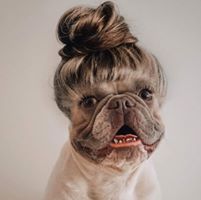 Lauren Smith's profile image