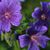 Sandi Eastman Schoenwetter's profile image