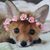 Madeline Degan's profile image