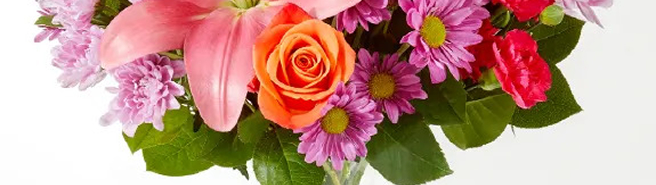 St. Paul Floral's cover image