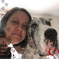 Terri Lambert's profile image