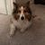 Lisa Luckett Bacon's profile image