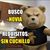 Willy Padilla's profile image
