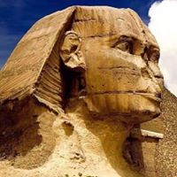 Ainat Ancestry's profile image