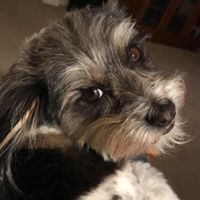 Larrian Eagan's profile image