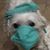 Sue Carbone's profile image