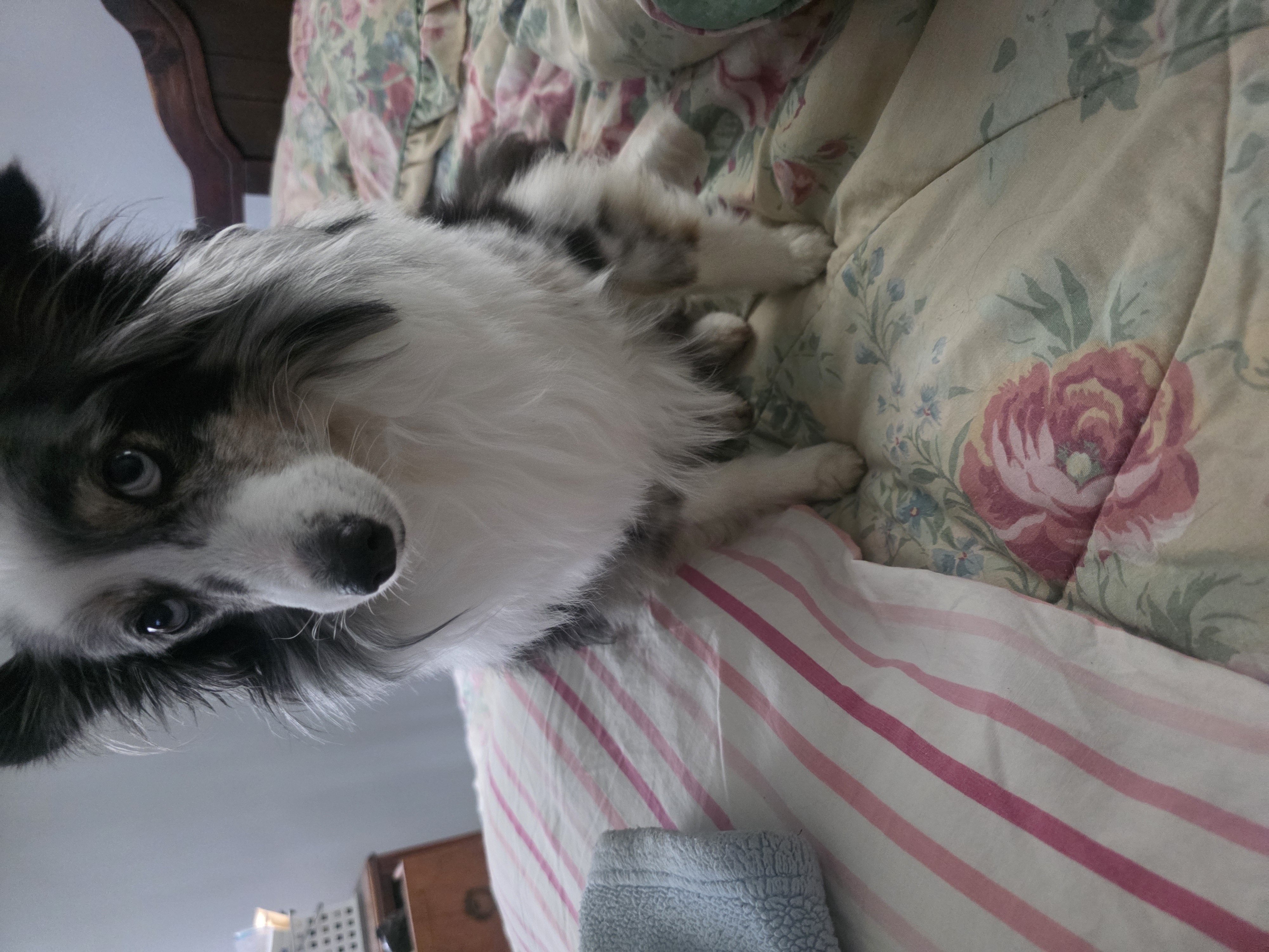 Sandie K.'s post 3